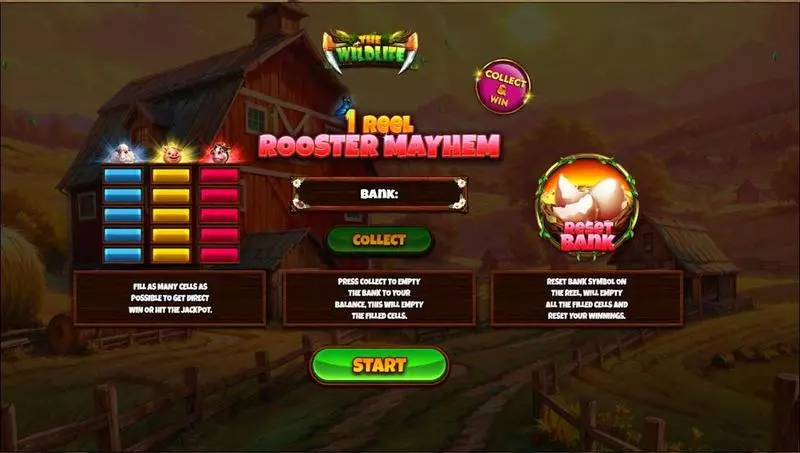 Introduction Screen - Spinomenal 1 Reel – Rooster Mayhem Slot