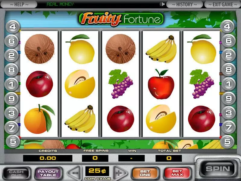 Main Screen Reels - DGS 5-Reel Fruity Fortune Slot