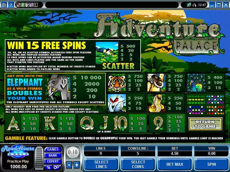 Info and Rules - Microgaming Adventure Palace Slot