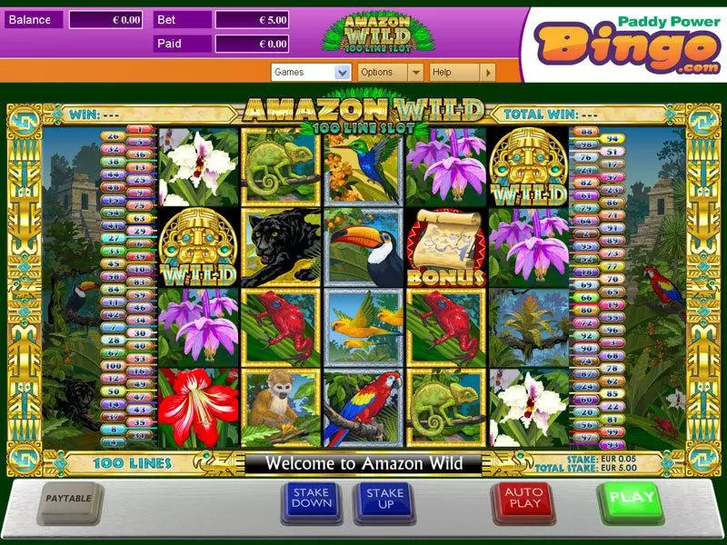 Main Screen Reels - Amaya Amazon Wild Slot