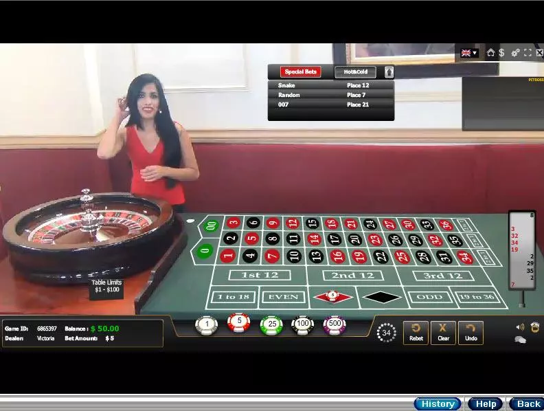 Table ScreenShot - RTG American Roulette Live Table