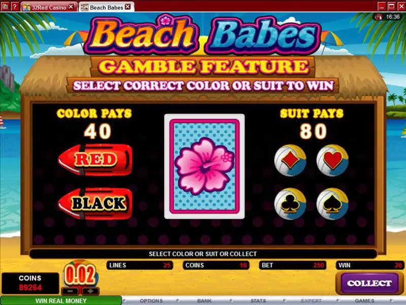 Gamble Screen - Microgaming Beach Babes Slot