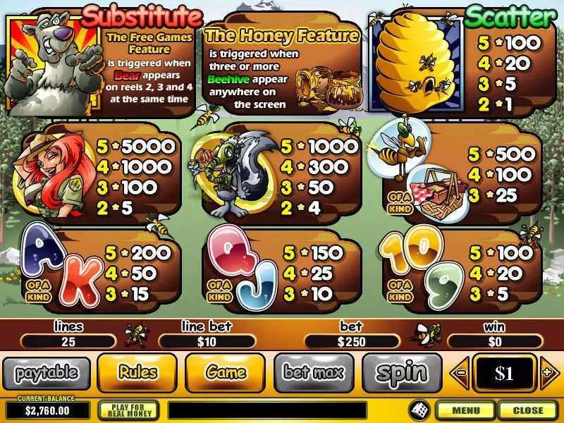 Info and Rules - PlayTech Bonus Bears Slot