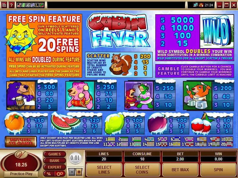 Info and Rules - Microgaming Cabin Fever Slot