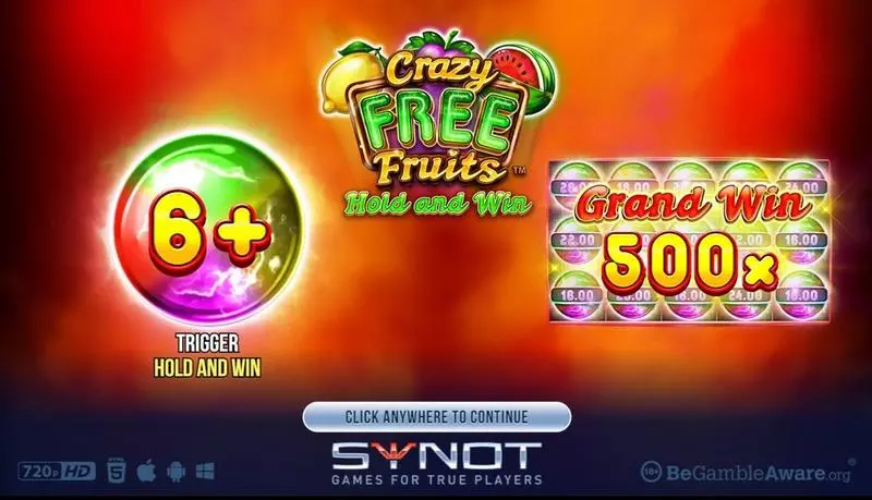 Introduction Screen - Synot Games Crazy Free Fruits Slot