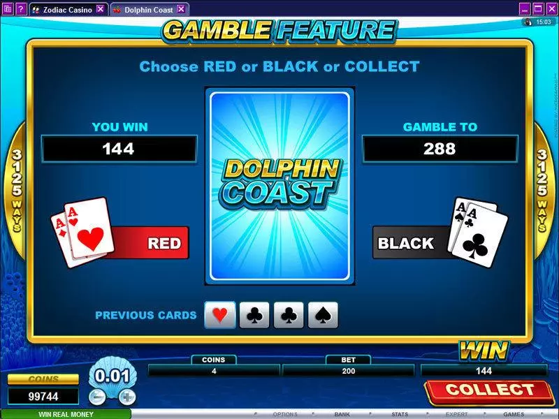 Gamble Screen - Microgaming Dolphin Coast Slot
