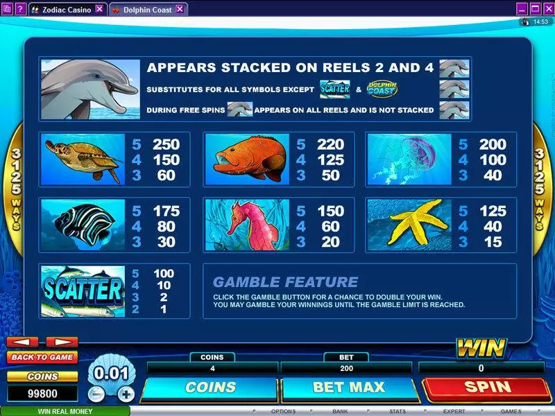Info and Rules - Microgaming Dolphin Coast Slot