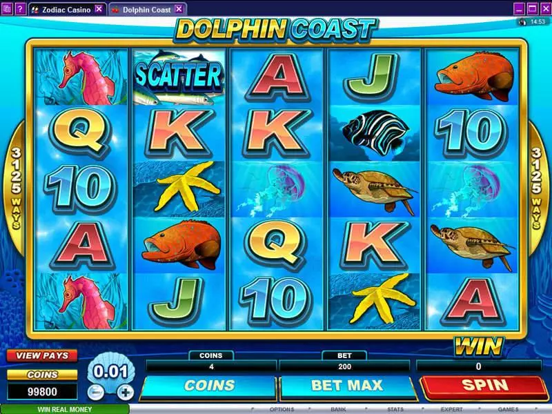 Main Screen Reels - Microgaming Dolphin Coast Slot