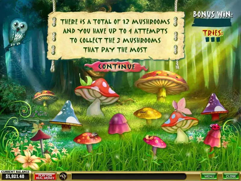 Bonus 1 - PlayTech Forest of Wonders Slot