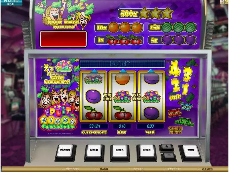 Main Screen Reels - Microgaming Fruit Bingo Slot