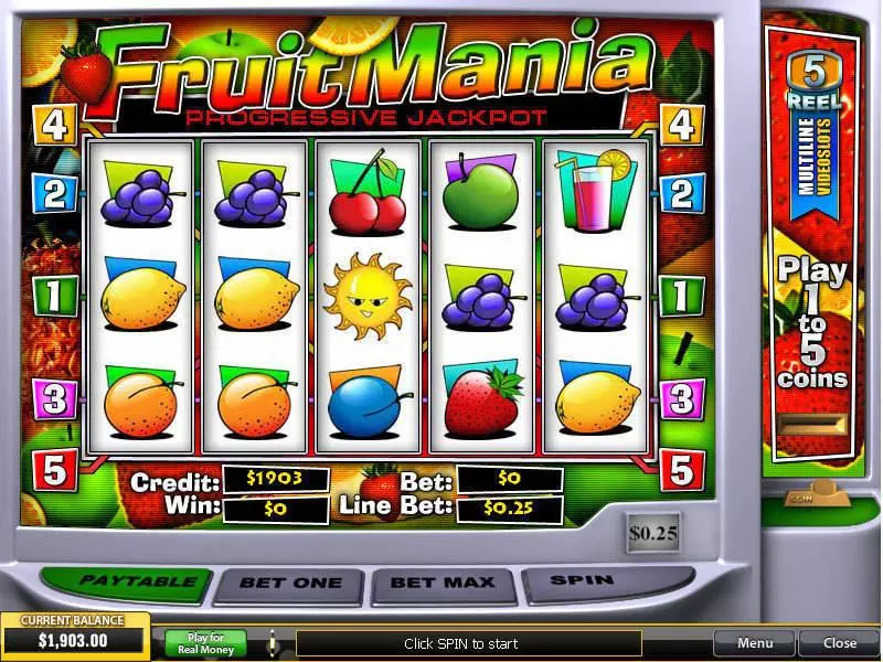 Main Screen Reels - PlayTech FruitMania Slot
