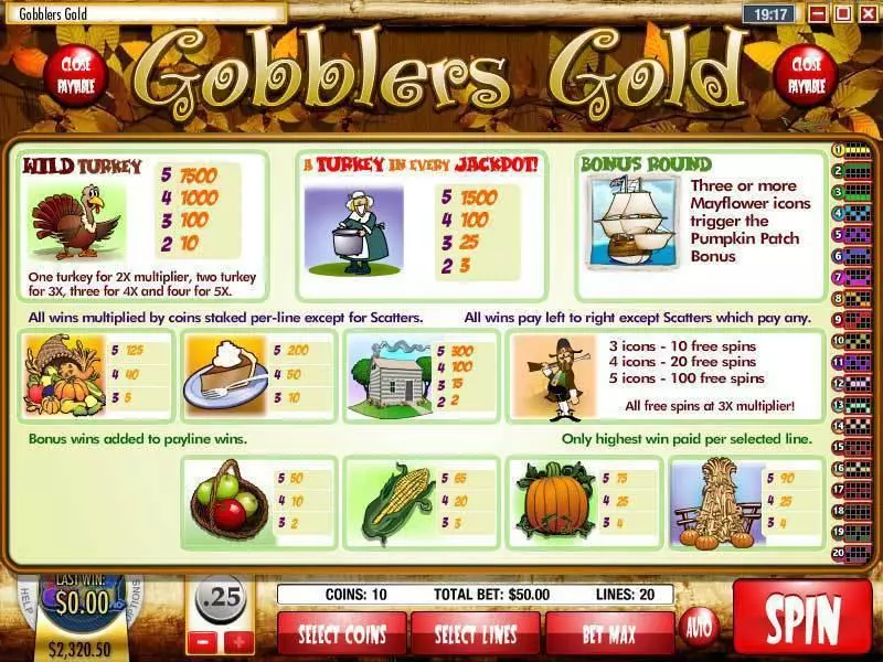 Info and Rules - Rival Gobblers Gold Slot