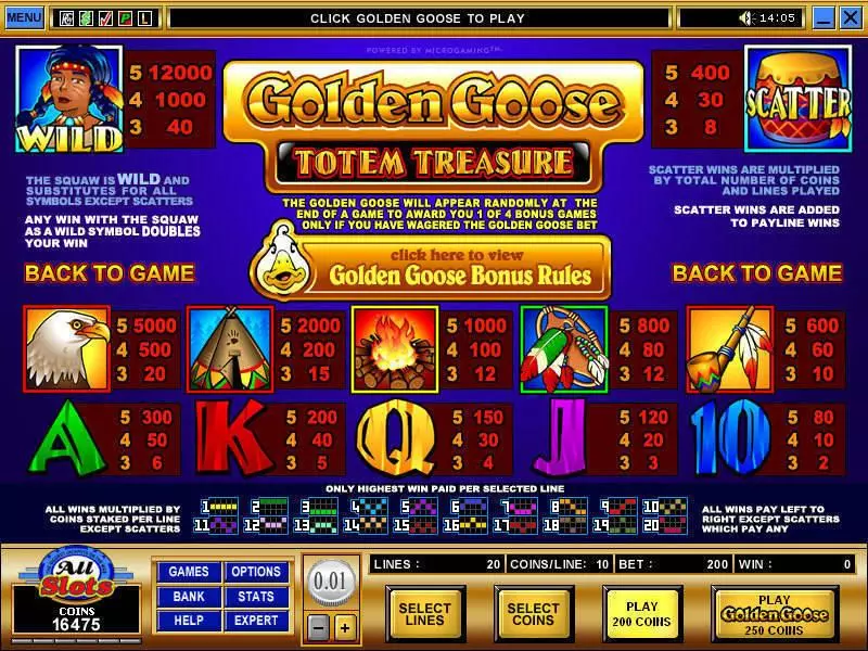 Info and Rules - Microgaming Golden Goose - Totem Treasure Slot
