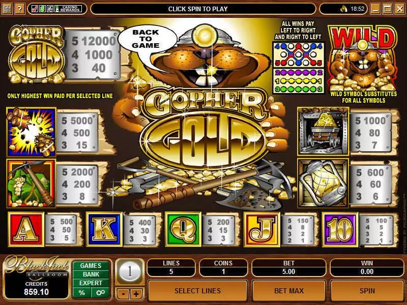 Info and Rules - Microgaming Gopher Gold Slot