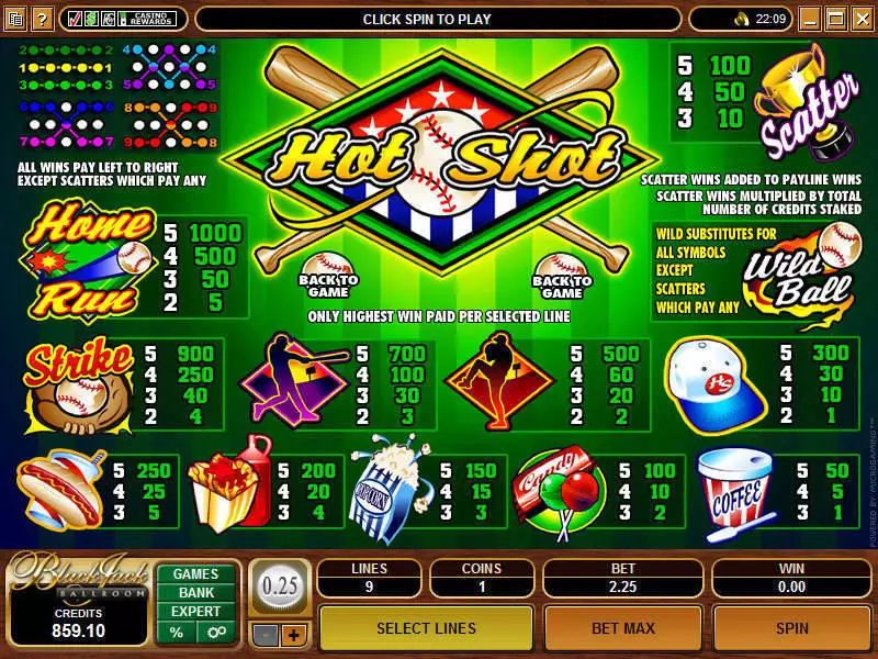 Info and Rules - Microgaming Hot Shot Slot