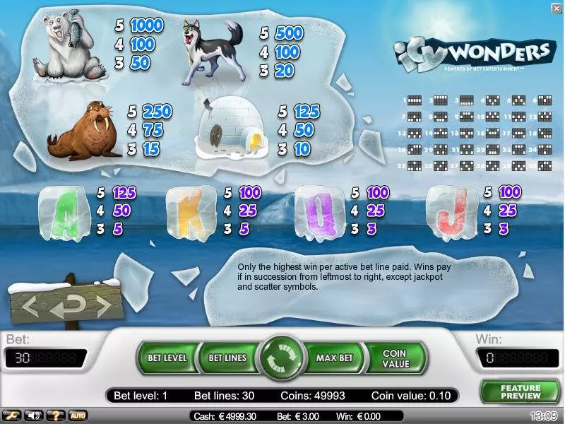 Info and Rules - NetEnt Icy Wonders Slot