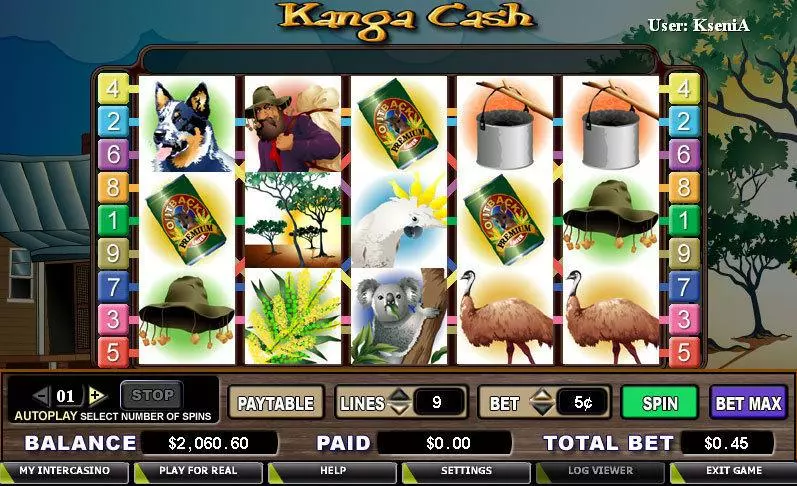 Main Screen Reels - CryptoLogic Kanga Cash Slot