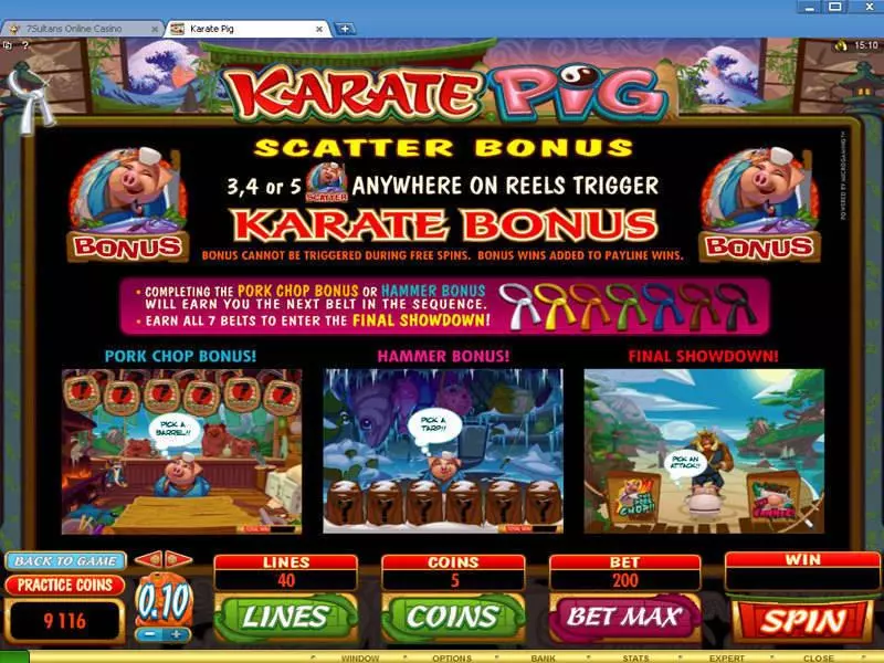 Bonus 1 - Microgaming Karate Pig Slot