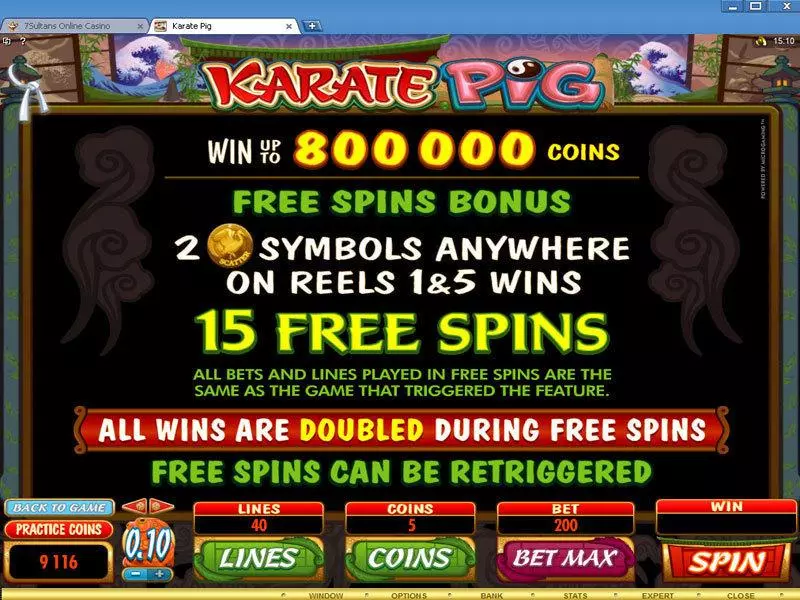 Bonus 2 - Microgaming Karate Pig Slot