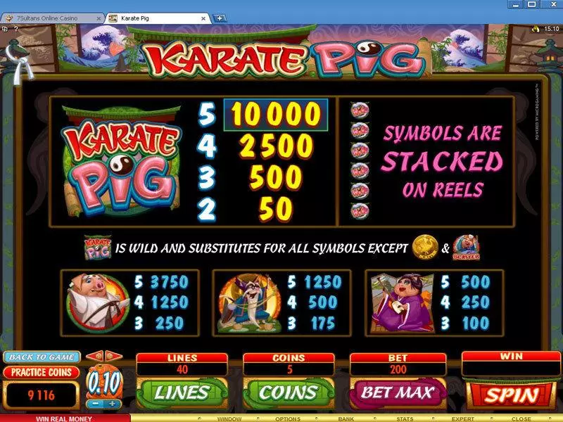 Info and Rules - Microgaming Karate Pig Slot