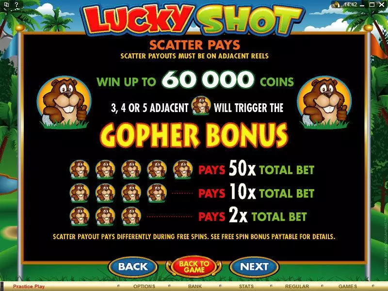 Info and Rules - Microgaming Lucky Shot Slot