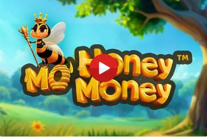 Introduction Screen - Dragon Gaming Mo Honey Mo Money Slot