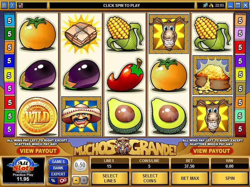 Main Screen Reels - Microgaming Muchos Grande Slot