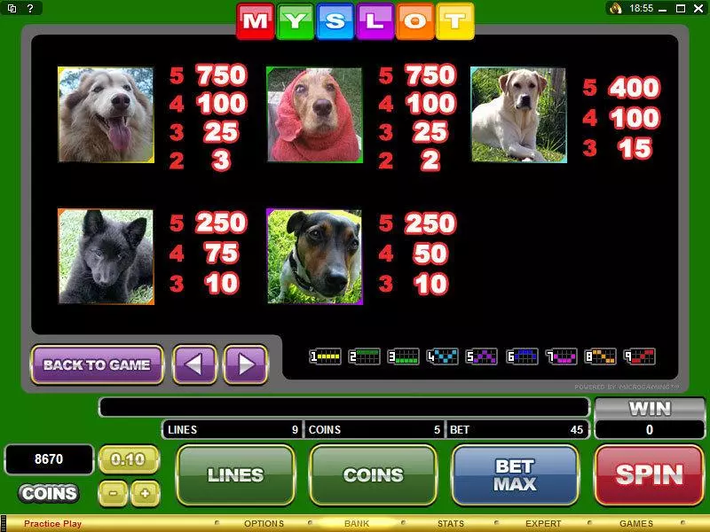 Info and Rules - Microgaming MYSLOT Slot