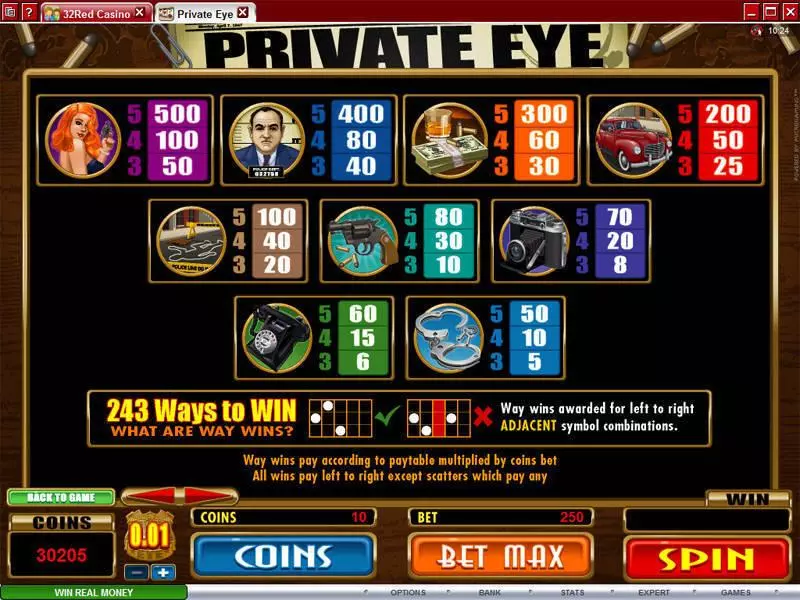 Info and Rules - Microgaming Private Eye Slot