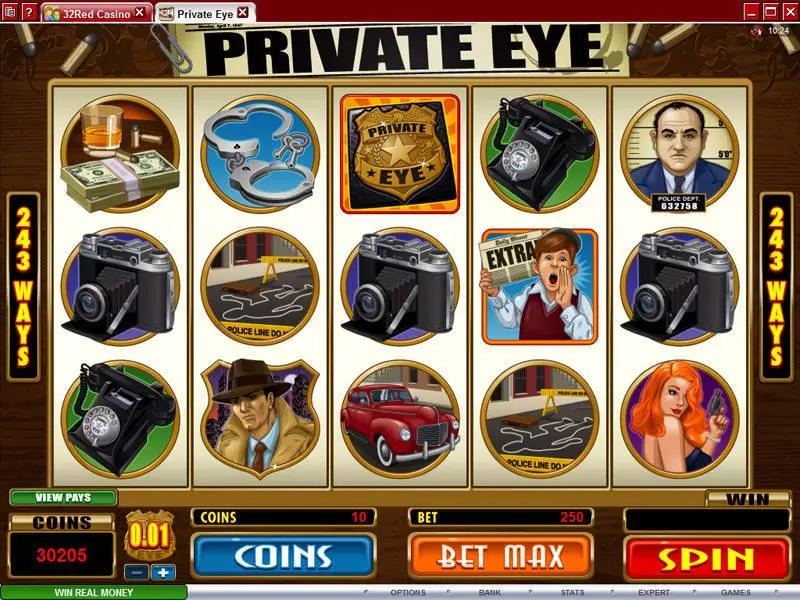 Main Screen Reels - Microgaming Private Eye Slot