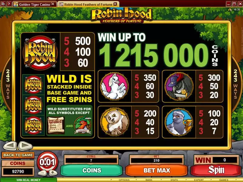 Info and Rules - Microgaming Robin Hood Feathers of Fortune Slot