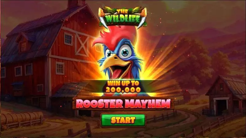 Introduction Screen - Spinomenal Rooster Mayhem Slot