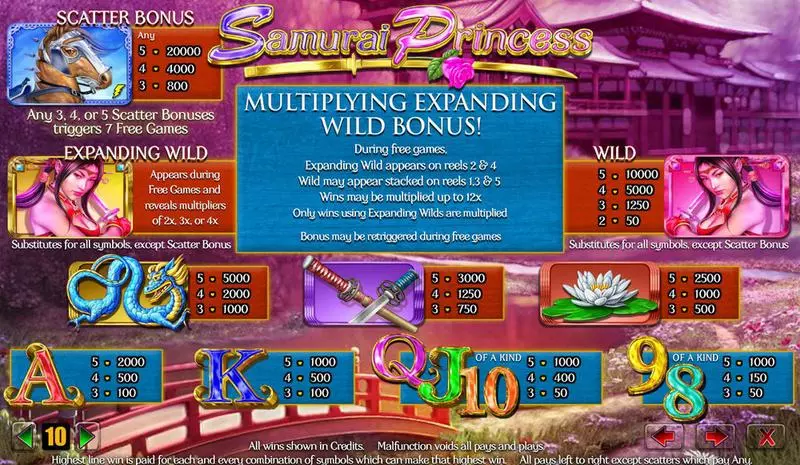 Info and Rules - Amaya Samurai Princess Slot