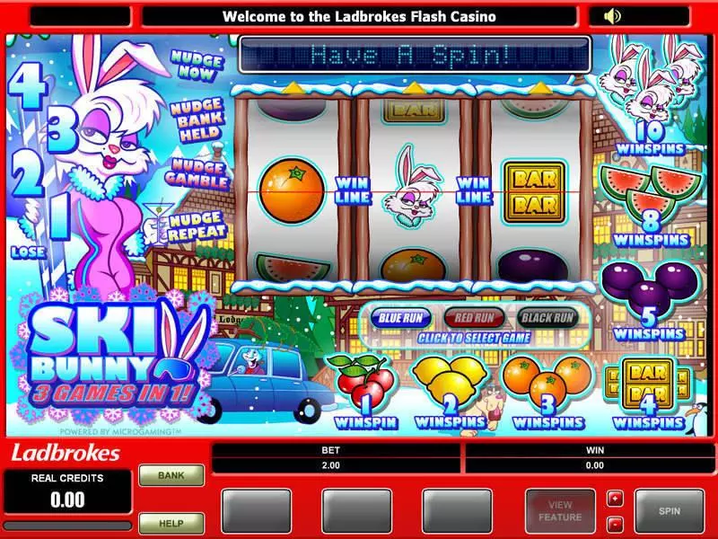 Main Screen Reels - Microgaming Ski Bunny Slot