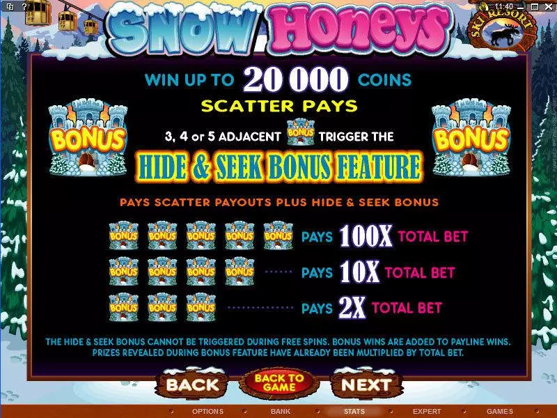 Info and Rules - Microgaming Snow Honeys Slot