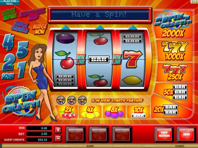 Main Screen Reels - Microgaming Spin Crazy Slot