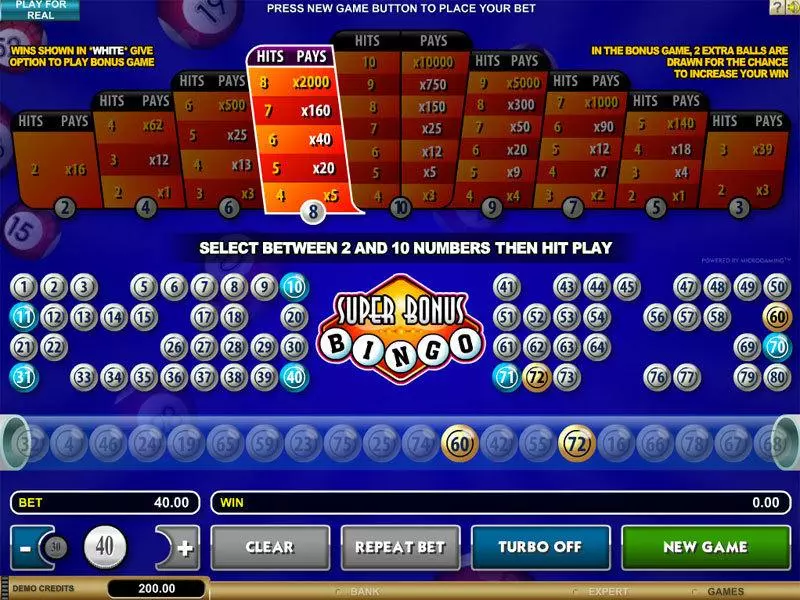 Introduction Screen - Microgaming Super Bonus Bingo Parlor