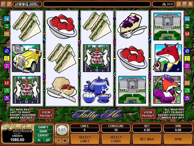 Main Screen Reels - Microgaming Tally Ho Slot