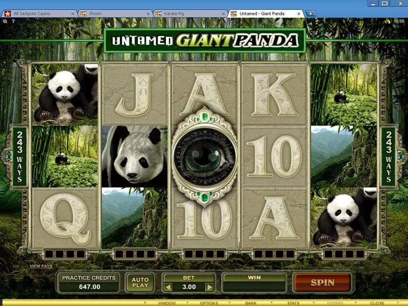 Main Screen Reels - Microgaming Untamed - Giant Panda Slot
