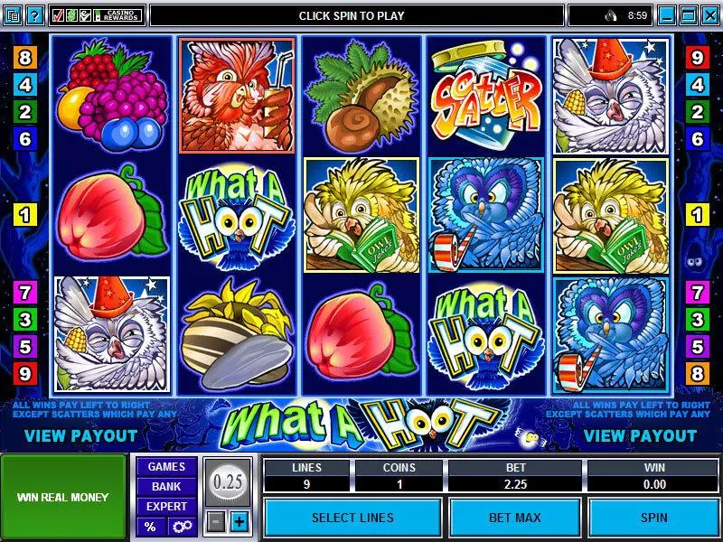 Main Screen Reels - Microgaming What a Hoot Slot