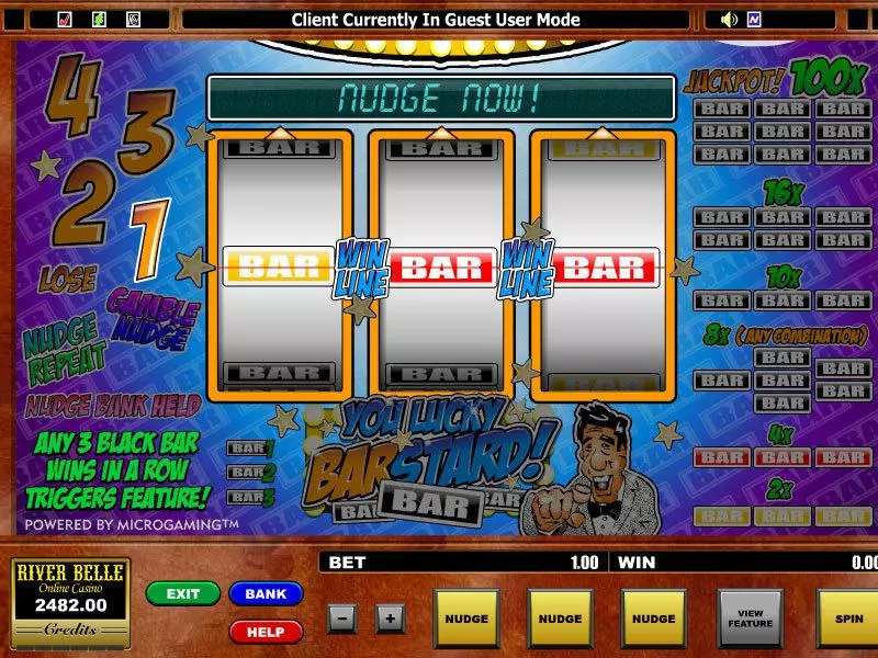 Main Screen Reels - Microgaming You Lucky Barstard Slot